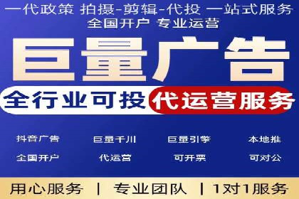 SEM推广策略：成功案例解析